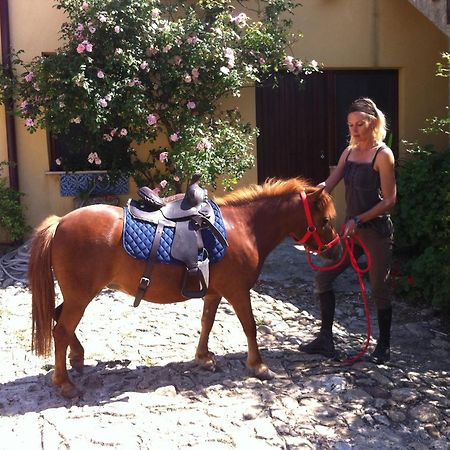 Agriturismo Ridocco Corleone Ngoại thất bức ảnh