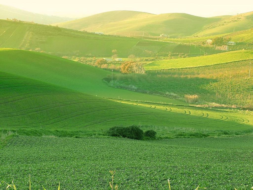 Agriturismo Ridocco Corleone Ngoại thất bức ảnh